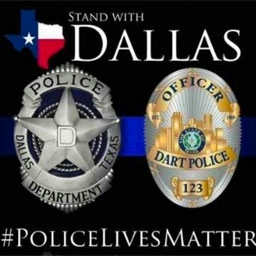 My Brothers in Blue